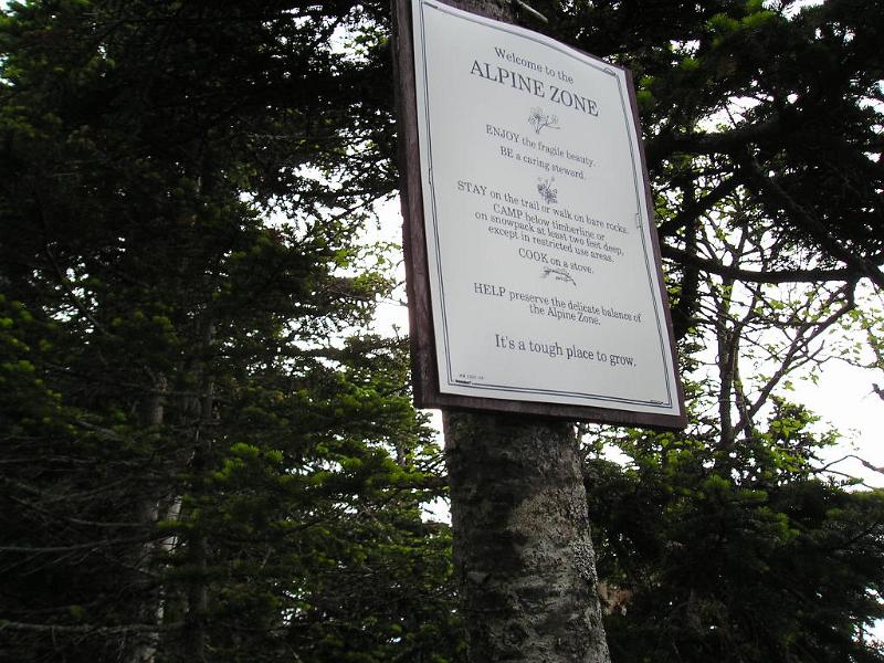 CarterDome (6).JPG - The summit of Mt. Hight is entirely above treeline.
